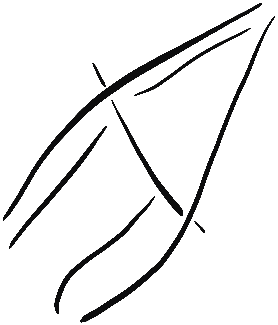 Image of the occurrence